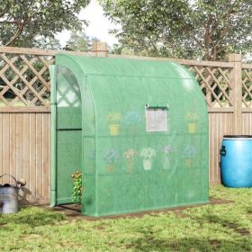 Walk-in Mini Greenhouse
