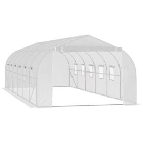 Walk-In Greenhouse 26x10x7 ft