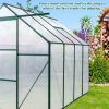 6x8 Hybrid Polycarbonate Greenhouse Green